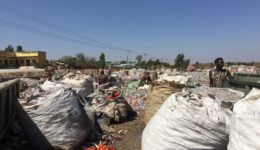 collectors-at-landfill