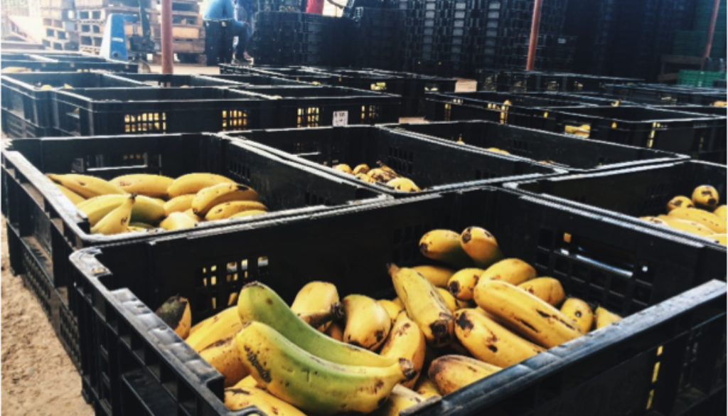 banana crates